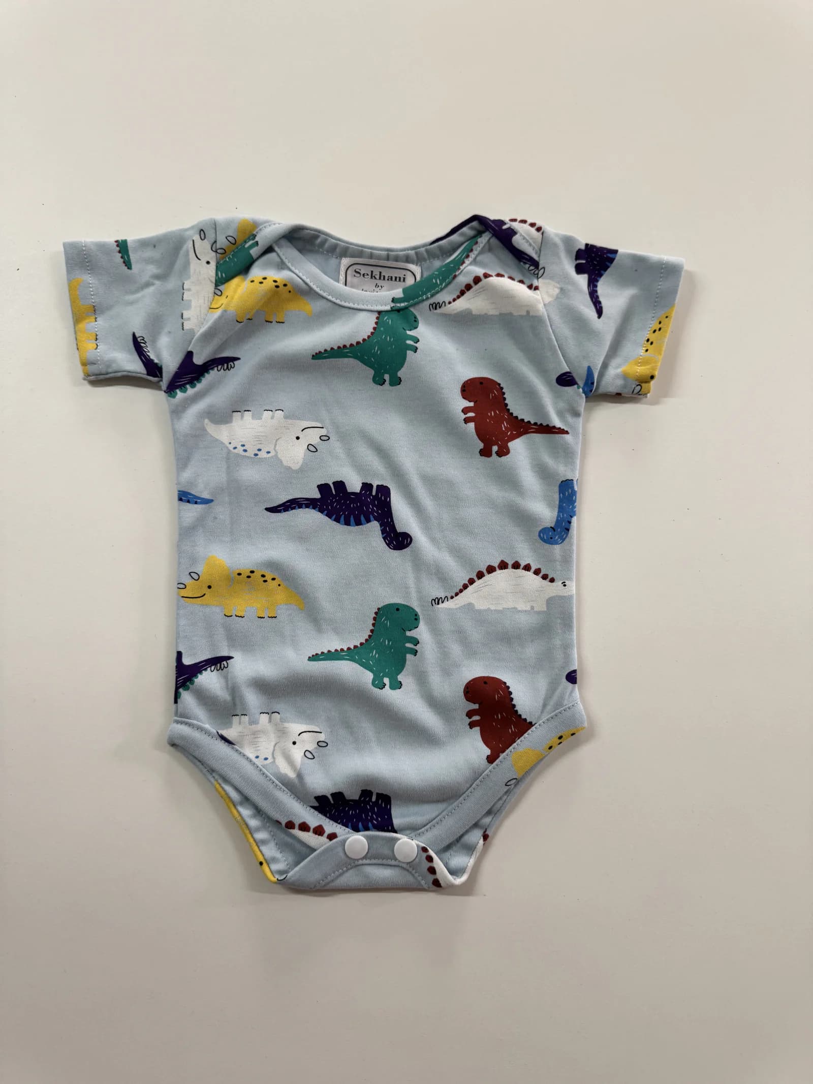 Dinosaurs Onesie